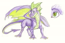 Size: 2888x1896 | Tagged: safe, artist:earthsong9405, imported from derpibooru, spike, dragon, adult, headcanon, older, older spike, quadrupedal spike, realistic anatomy, simple background, solo, teenage spike, teenager, traditional art, white background, winged spike