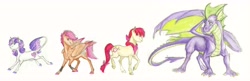 Size: 7704x2496 | Tagged: safe, artist:earthsong9405, imported from derpibooru, apple bloom, scootaloo, spike, sweetie belle, classical unicorn, dragon, earth pony, pegasus, pony, unicorn, absurd resolution, braided tail, colored hooves, colored wings, colored wingtips, cutie mark, cutie mark crusaders, ear piercing, female, leonine tail, mare, older, older spike, piercing, quadrupedal spike, shoulder feathers, simple background, socks (coat marking), socks (coat markings), straw in mouth, teenage apple bloom, teenage scootaloo, teenage spike, teenage sweetie belle, teenager, the cmc's cutie marks, white background, winged spike