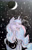 Size: 1584x2490 | Tagged: safe, artist:azkre, imported from derpibooru, princess luna, pony, female, moon, princess luna is amused, solo, stars, traditional art