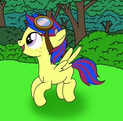 Size: 768x758 | Tagged: safe, artist:linedraweer, imported from derpibooru, oc, oc only, oc:sky chaser, commission, flying lesson, foal, forest, goggles, solo