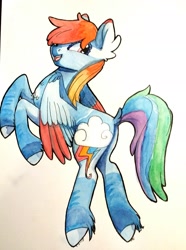 Size: 1757x2359 | Tagged: safe, artist:penny-wren, imported from derpibooru, rainbow dash, pony, female, flying, mare, smiling, solo, traditional art, unshorn fetlocks, watercolor painting