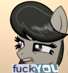 Size: 600x640 | Tagged: safe, imported from derpibooru, octavia melody, caption, cropped, disgusted, expand dong, exploitable meme, female, fuck you, image macro, meme, solo, vulgar