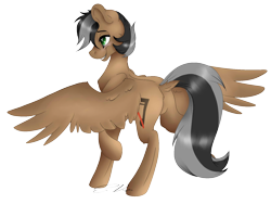 Size: 1600x1200 | Tagged: safe, artist:scarlettnovel, imported from derpibooru, oc, oc only, oc:artsong, pegasus, pony, dock, female, mare, simple background, solo, transparent background