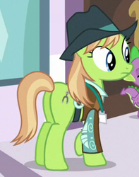 Size: 242x307 | Tagged: safe, imported from derpibooru, screencap, yuma spurs, earth pony, pony, princess spike (episode), appleloosa resident, background pony, butt, clothes, cropped, female, hat, jacket, mare, plot, solo focus