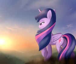 Size: 1024x865 | Tagged: safe, artist:fotasy, imported from derpibooru, twilight sparkle, alicorn, pony, female, lidded eyes, raised hoof, smiling, solo, sunset, twilight sparkle (alicorn)