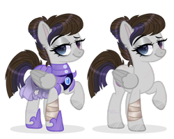 Size: 1024x822 | Tagged: safe, artist:_spacemonkeyz_, imported from derpibooru, oc, oc only, oc:nightfall, pegasus, pony, armor, female, mare, night guard, simple background, solo, transparent background