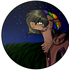 Size: 1015x1050 | Tagged: safe, artist:sweetmelon556, imported from derpibooru, oc, oc only, oc:aaron, pegasus, pony, beanie, hat, male, night, solo, stallion