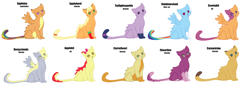 Size: 4240x1680 | Tagged: safe, artist:spaarx, imported from derpibooru, apple bloom, applejack, caramel, carrot top, cheerilee, derpy hooves, golden harvest, rainbow dash, scootaloo, twilight sparkle, oc, oc:appleherd, oc:applejoy, oc:applekit, oc:caramelclaw, oc:carrotheart, oc:cheerilee (warrior cats au), oc:derpyclouds, oc:rainbowcloud, oc:scootakit, oc:twilightsparkle (warrior cats au), cat, pegasus, pony, catified, crossover, female, kitten, magical lesbian spawn, mare, offspring, parent:applejack, parent:rainbow dash, parents:appledash, species swap, warrior cats