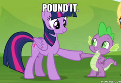 Size: 600x413 | Tagged: safe, edit, edited screencap, imported from derpibooru, screencap, spike, twilight sparkle, alicorn, dragon, pony, father knows beast, cropped, hoofbump, image macro, meme, memeful.com, miraculous ladybug, text, twilight sparkle (alicorn), winged spike, wings