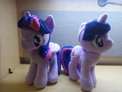 Size: 4160x3120 | Tagged: safe, imported from derpibooru, photographer:apex soundwave, twilight sparkle, alicorn, pony, unicorn, 4de, cute, duality, duo, female, irl, mare, photo, plushie, twilight sparkle (alicorn), unicorn twilight