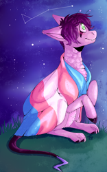 Size: 1000x1600 | Tagged: safe, artist:cinnamonsparx, imported from derpibooru, oc, oc only, oc:perilous skies, oc:porcelain skies, bat pony, pony, constellation, lgbt, male, night, pride, sitting, solo, stallion, stars, trans boy, trans male, transgender, transgender pride flag