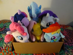 Size: 1229x922 | Tagged: safe, artist:ultrathehedgetoaster, imported from derpibooru, fluttershy, pinkie pie, rainbow dash, rarity, trixie, twilight sparkle, pony, 4de, box, cardboard box, cute, female, irl, photo, plushie, ponies in a box, pony in a box