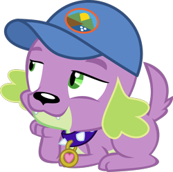 Size: 3357x3340 | Tagged: safe, artist:red4567, imported from derpibooru, spike, spike the regular dog, dog, equestria girls, legend of everfree, hat, male, paws, simple background, transparent background, vector