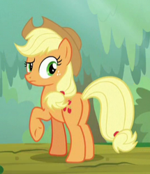 Size: 266x309 | Tagged: safe, imported from derpibooru, screencap, applejack, earth pony, pony, sounds of silence, butt, cropped, female, mare, plot, raised eyebrow, raised hoof, solo