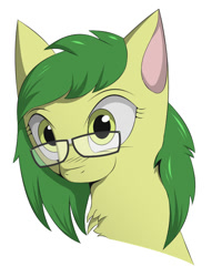 Size: 671x840 | Tagged: artist needed, safe, imported from derpibooru, oc, oc only, unnamed oc, pony, female, glasses, mare, solo