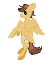 Size: 2400x3000 | Tagged: safe, artist:silverkitsune84, imported from derpibooru, oc, oc only, oc:krafty kitsune, pegasus, pony, cute, cutie mark, looking back, male, simple background, solo, transparent background, wings