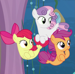 Size: 625x615 | Tagged: safe, imported from derpibooru, screencap, apple bloom, scootaloo, sweetie belle, seapony (g4), surf and/or turf, bubble, cropped, cutie mark crusaders, female, filly, fins, foal, sea-mcs, seaponified, seapony apple bloom, seapony scootaloo, seapony sweetie belle, seaquestria, smiling, species swap, tail, trio, underwater, water