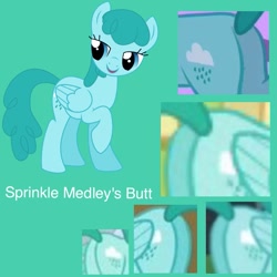 Size: 639x640 | Tagged: safe, edit, edited screencap, imported from derpibooru, screencap, spring melody, sprinkle medley, pegasus, pony, hurricane fluttershy, luna eclipsed, butt, compilation, cropped, female, mare, medley butt, plot