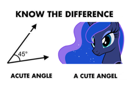 Size: 1264x891 | Tagged: safe, imported from derpibooru, princess luna, alicorn, pony, acute angle, cute, exploitable meme, female, know the difference, lunabetes, mare, meme, pun, solo