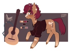 Size: 604x424 | Tagged: safe, artist:lothard juliet, imported from derpibooru, oc, oc only, earth pony, pony, clothes, freckles, guitar, male, plaid shirt, reference sheet, shirt, solo, stallion