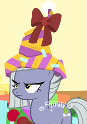 Size: 757x1080 | Tagged: safe, imported from derpibooru, screencap, limestone pie, earth pony, pony, best gift ever, cropped, female, hat, limestone is not amused, limestone pie is not amused, mare, solo, unamused