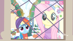 Size: 1920x1080 | Tagged: safe, imported from derpibooru, screencap, fluttershy, rainbow dash, pegasus, pony, best gift ever, clothes, cute, earmuffs, female, hat, looking at you, mare, scarf, snow, window