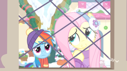 Size: 1920x1080 | Tagged: safe, imported from derpibooru, screencap, fluttershy, rainbow dash, pegasus, pony, best gift ever, clothes, cute, duo, female, hat, mare, pondering, scarf, snow, window