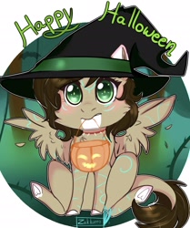 Size: 1752x2096 | Tagged: safe, artist:zakkuro, imported from derpibooru, oc, oc:rune, pegasus, pony, blushing, clothes, costume, embarrassed, female, green eyes, halloween, halloween costume, hat, holiday, mare, sitting, solo, unsure, witch hat