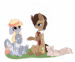 Size: 1340x1108 | Tagged: safe, artist:little-sketches, artist:php146, imported from derpibooru, derpy hooves, doctor whooves, time turner, cat, earth pony, pegasus, pony, doctorderpy, female, floral head wreath, flower, male, mare, pale belly, shipping, simple background, sitting, stallion, straight, tail feathers, white background