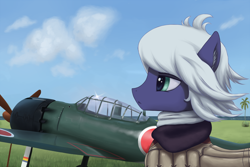 Size: 2100x1401 | Tagged: safe, artist:mrscroup, imported from derpibooru, oc, oc only, pony, aircraft, clothes, cloud, grass, imperial japanese navy, japanese, japanese empire, mitsubishi a6m zero, palm tree, sky, solo, tree, world war ii