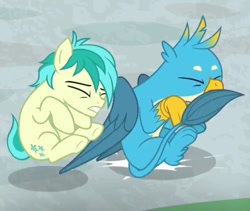 Size: 571x481 | Tagged: safe, imported from derpibooru, screencap, gallus, sandbar, griffon, pony, a rockhoof and a hard place, cutie mark, eyes closed, falling, gallus is not amused, gritted teeth, literal butthurt, male, pain, paws, sandbar is not amused, this is going to hurt