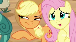 Size: 1920x1080 | Tagged: safe, imported from derpibooru, screencap, applejack, fluttershy, earth pony, pegasus, pony, sounds of silence, duo focus, female, mare, suspicious