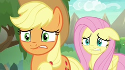 Size: 1920x1080 | Tagged: safe, imported from derpibooru, screencap, applejack, fluttershy, earth pony, pegasus, pony, sounds of silence, duo, female, floppy ears, mare, worried