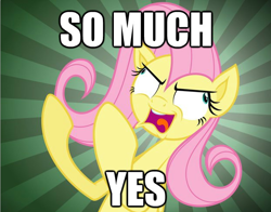 Size: 624x489 | Tagged: artist needed, source needed, useless source url, safe, imported from derpibooru, fluttershy, pegasus, pony, faic, female, funny, image macro, mare, meme, open mouth, solo, text, weird face