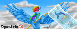 Size: 1280x480 | Tagged: safe, artist:mcqueen, derpibooru exclusive, imported from derpibooru, rainbow dash, pegasus, pony, cloud, cover art, equestriacn, equestrian flag, female, flag, logo, looking at you, smiling, solo, wings