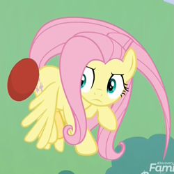 Size: 943x942 | Tagged: safe, imported from derpibooru, screencap, fluttershy, pegasus, pony, father knows beast, buckball, butt bump, butt smash, concentrating, cropped, female, flying, mare, solo, spinning