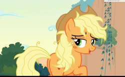 Size: 1735x1078 | Tagged: safe, imported from derpibooru, screencap, applejack, pony, sounds of silence, female, lidded eyes, looking back, messy mane, solo