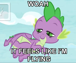 Size: 1053x867 | Tagged: safe, edit, edited screencap, imported from derpibooru, screencap, spike, dragon, father knows beast, cropped, drugs, flying, high, male, marijuana, solo, stoned, stoner spike, winged spike, wings