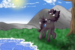 Size: 2125x1417 | Tagged: safe, artist:itwasscatters, imported from derpibooru, oc, oc only, oc:shooting star, pony, unicorn, grass, scenery, solo, tree