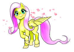 Size: 659x465 | Tagged: safe, artist:drakesaurian, imported from derpibooru, fluttershy, pegasus, pony, blushing, female, heart, looking at you, mare, raised hoof, simple background, smiling, solo, spread wings, standing, white background, wings