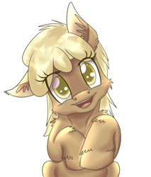 Size: 1000x1173 | Tagged: safe, artist:sintakhra, imported from derpibooru, mjölna, earth pony, pony, ask sandy pony, female, mare, solo