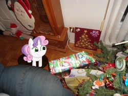 Size: 2250x1687 | Tagged: safe, artist:thomaszoey3000, imported from derpibooru, sweetie belle, pony, christmas, christmas tree, grandfather clock, holiday, irl, photo, ponies in real life, present, thomaszoey3000, tree