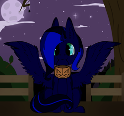 Size: 3000x2800 | Tagged: safe, artist:recat, imported from derpibooru, oc, oc only, alicorn, pony, alicorn oc, pumpkin bucket, solo, ych result