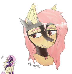 Size: 700x720 | Tagged: safe, artist:itzdatag0ndray, imported from derpibooru, fluttershy, king sombra, bat pony, armor, bat ponified, ear fluff, flutterbat, race swap, redraw, simple background, smiling, smirk, white background