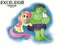 Size: 1024x765 | Tagged: safe, imported from derpibooru, fluttershy, pony, duo, excelsior, in memoriam, looking at each other, looking sideways, rest in peace, sad, sitting, stan lee, the incredible hulk