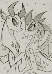 Size: 1604x2266 | Tagged: safe, artist:rossmaniteanzu, imported from derpibooru, princess ember, thorax, changedling, changeling, dragon, dragoness, embrax, female, gray background, grayscale, interspecies, king thorax, looking at each other, male, monochrome, pencil drawing, shipping, simple background, straight, traditional art