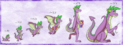 Size: 1024x377 | Tagged: safe, artist:inuhoshi-to-darkpen, imported from derpibooru, spike, dragon, adult, adult spike, age progression, baby, baby dragon, book, crawling, evolution, fangs, flying, growth chart, older, older spike, paper, profile, quill, simple background, sitting up, smiling, teenage spike, teenager, walking, winged spike, wings, younger