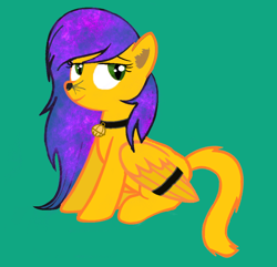 Size: 970x934 | Tagged: safe, imported from derpibooru, oc, oc only, oc:bound cloud, cat pony, original species, bound wings, cat tail, collar, hooves, purple hair, simple background, solo