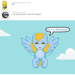 Size: 540x540 | Tagged: safe, artist:aha-mccoy, imported from derpibooru, oc, oc:cersci, oc:dicey roll, pegasus, pony, nopony-ask-mclovin, animated, ask, bungee jumping, caption, female, flying, gif, gif with captions, mare, rope, speech bubble, transformation, tumblr