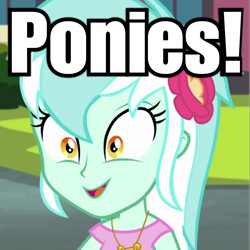 Size: 720x720 | Tagged: safe, edit, edited screencap, imported from derpibooru, screencap, lyra heartstrings, all's fair in love and friendship games, equestria girls, friendship games, brony, counter-humie, fangirl, humie, image macro, in-universe pegasister, meme, role reversal, text, that human sure does love ponies, that pony sure does love humans